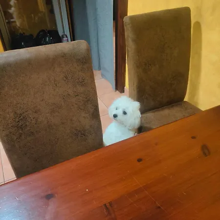 Private In Casa Kores דירה איקוד דה לוס וינוס